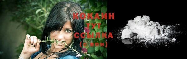 прущие крисы Осинники