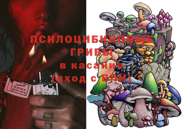 гидропоника Нягань