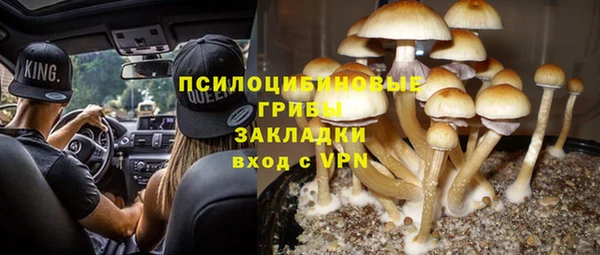 тгк Нязепетровск