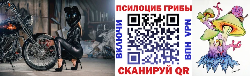 OMG как зайти  Кондрово  Галлюциногенные грибы MAGIC MUSHROOMS 